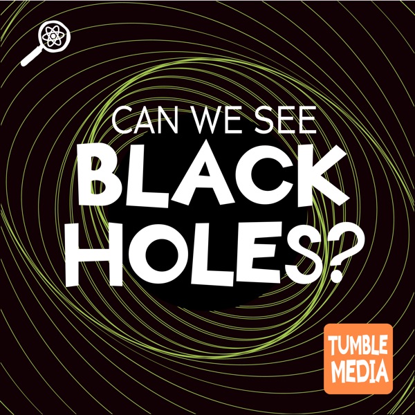 Can We See Black Holes? photo