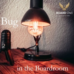 A Bug in the Boardroom - Interviews with top Board Members, Entrepreneurs and Executives