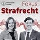 Fokus: Strafrecht