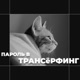 Пароль в Трансёрфинг