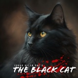 S2 E10: The Black Cat (An Adaptation)