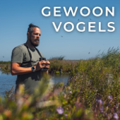 Gewoon Vogels