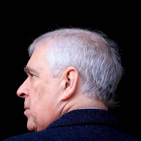 The continuing fall of Prince Andrew photo