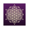 The Soul Matrix
