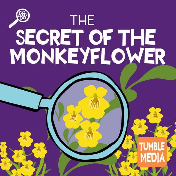The Secret of the Monkeyflower photo