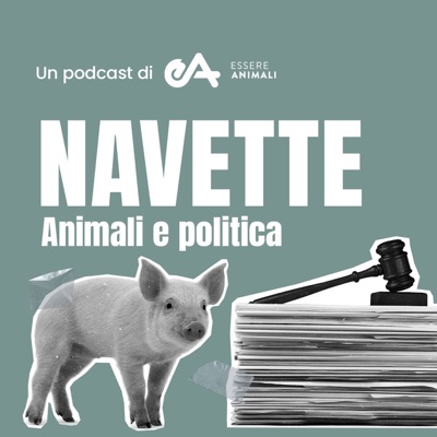 Navette Navette