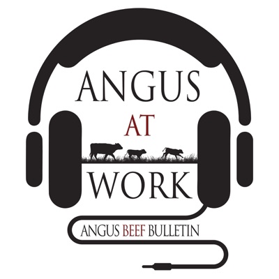Angus at Work Angus at Work