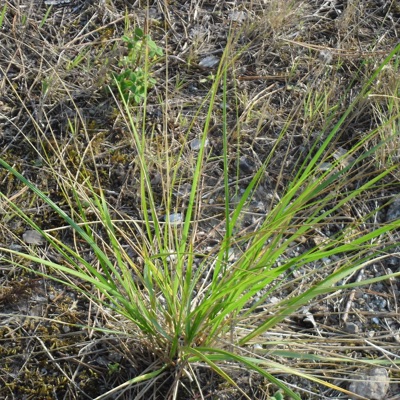 Esercitazione da quarantena
