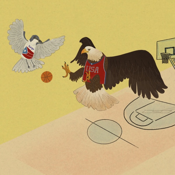 5. Basketball Warriors photo