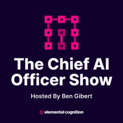 The Chief AI Officer Show