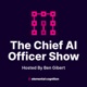 The Chief AI Officer Show