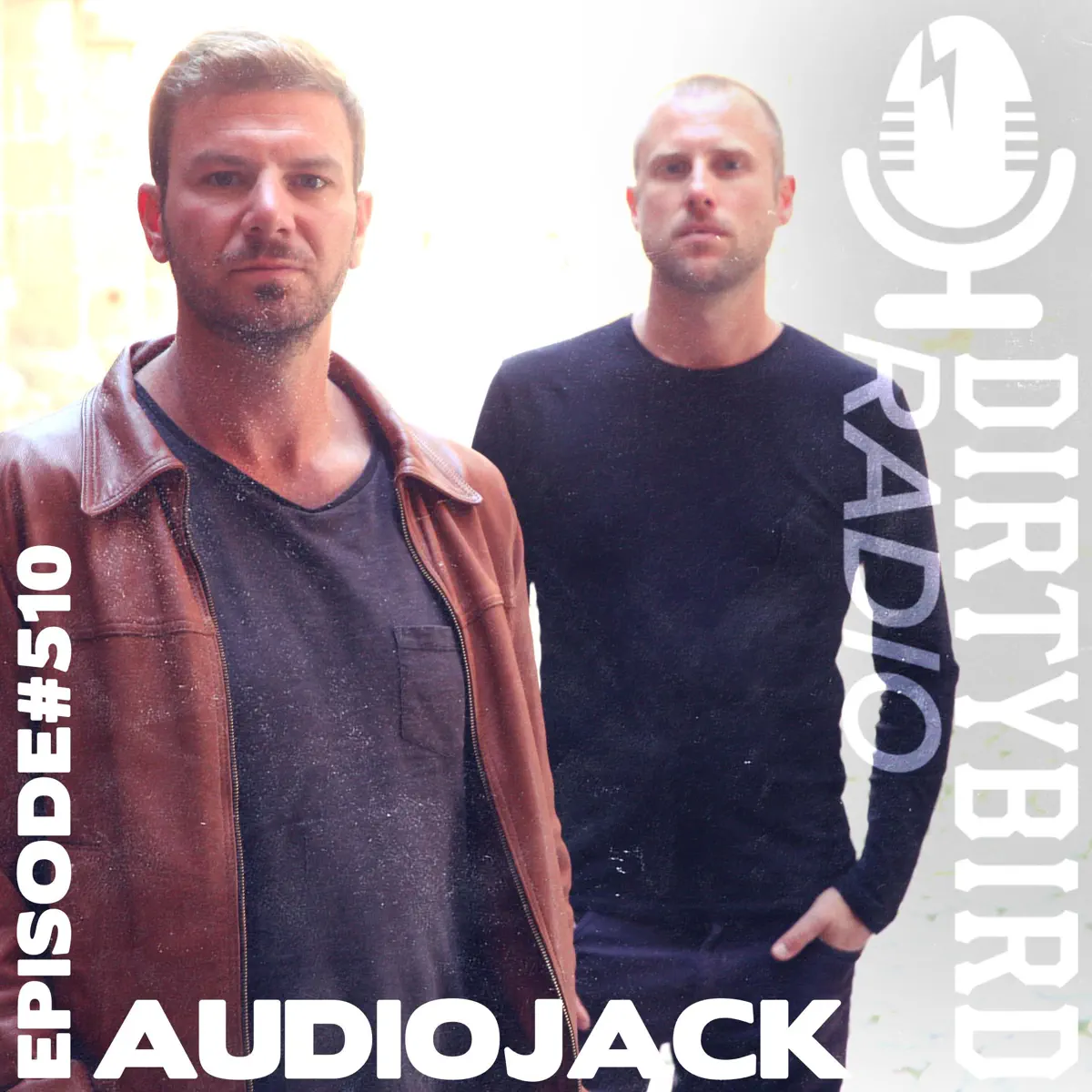 Dirtybird Radio - Podcast - Apple Podcasts