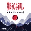 Obiceiul pământului