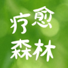 疗愈森林 - 依然Emily
