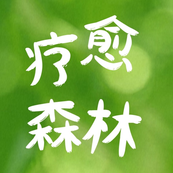 疗愈森林