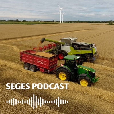 Plante-podcast fra SEGES Innovation