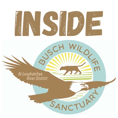 Inside Busch Wildlife Sanctuary