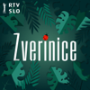 Zverinice - RTVSLO – Prvi