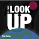 Please Look Up