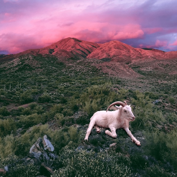 Goatwalker: Saguaro Juniper (Part 3) photo