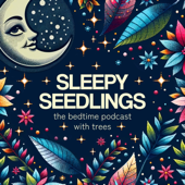 Sleepy Seedlings: The Bedtime Podcast with Trees