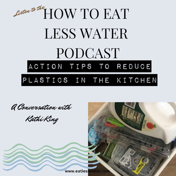 Action Tips to Reduce Single-Use Plastic in the Kitchen: Interview with Kathi King photo