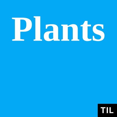 TIL: Plants TIL: Plants