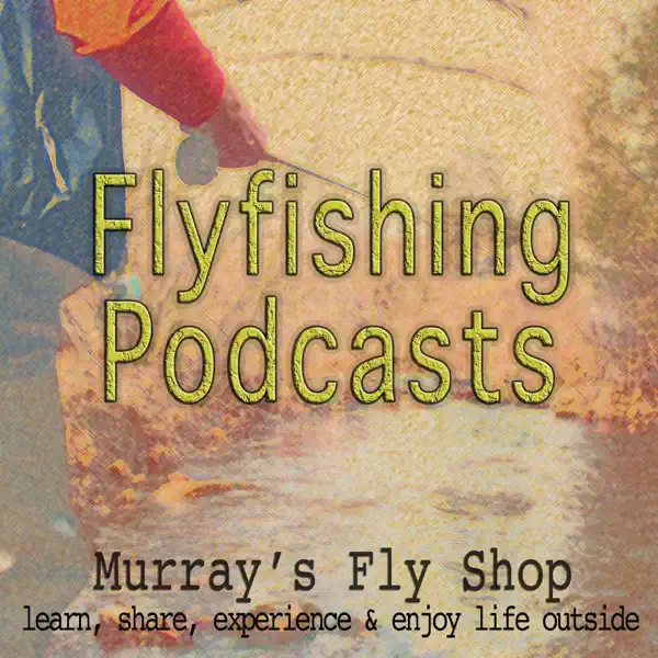 The View From Harry's Window – A Fly Fishing Blog