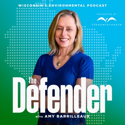 The Defender The Defender