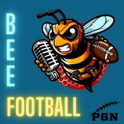 BEE FOOTBALL BEE FOOTBALL