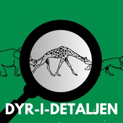 Dyr I Detaljen