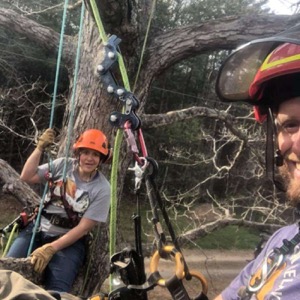 Canopy Insider with Almon and Carolina from Beast Coast Tree Climbers