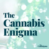 Cannabis drug interactions, with Dr. Roni Sharon