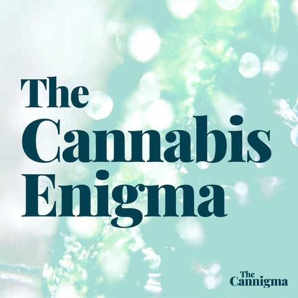 Cannabis drug interactions, with Dr. Roni Sharon photo