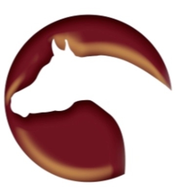 TheArabianMagazine.Com