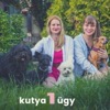 Kutya1ügy