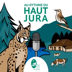 Au rythme du Haut-Jura