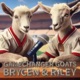 Gamechanger GOATs- GOATs in the Making: Game Changing Stories of Life, Sports & Faith