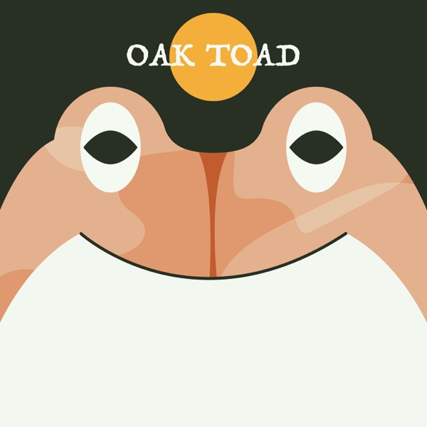 Oak Toad | Week of OcTOADber 23rd photo