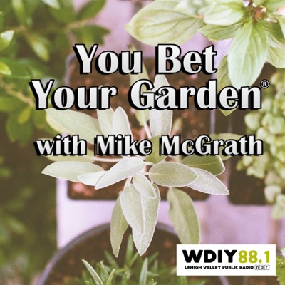 You Bet Your Garden You Bet Your Garden