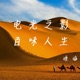 经典影评&优秀电影原声回顾系列