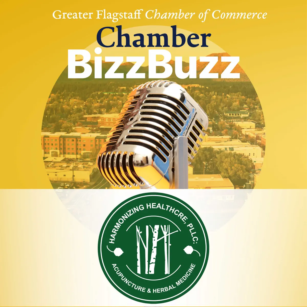 Chamber Bizz Buzz - Podcast - Apple Podcasts