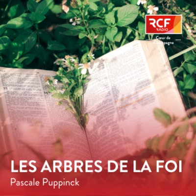 Les arbres de la foi · RCF Cœur de Champagne
