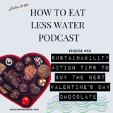 SUSTAINABILITY ACTION TIPS TO BUY THE BEST VALENTINE'S DAY CHOCOLATE