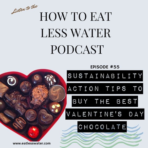 SUSTAINABILITY ACTION TIPS TO BUY THE BEST VALENTINE'S DAY CHOCOLATE photo