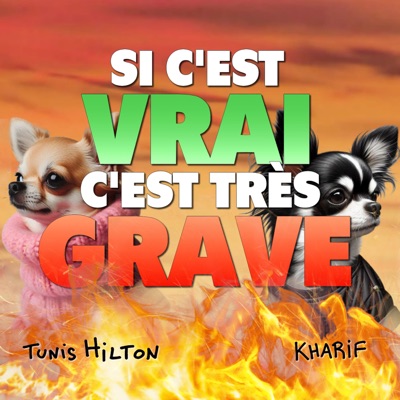 Si c'est vrai, c'est très grave Si c'est vrai, c'est très grave