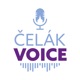 ČelákVOICE