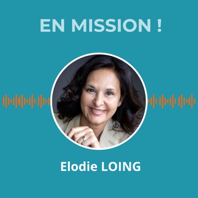 En mission ! Les chroniques du management de transition