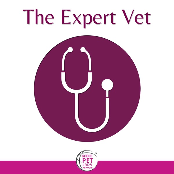 The Expert Vet™