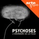 Psychoses : l'ordinaire de la folie